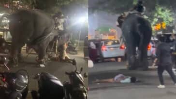 Elephant tramples mahout to death during mosque ceremony in India