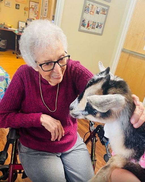 I BROUGHT A BABY GOAT TO A NURSING HOME—AND ONE RESIDENT SAID HIS NAME
