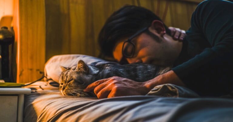 Vegan Girlfriend Demands Boyfriend Give Away Cat, Gets Ultimatum