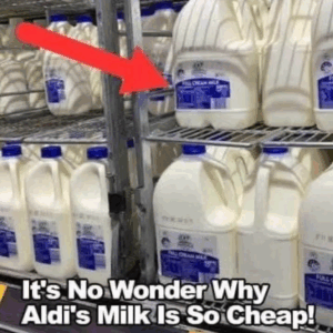 Get the Best Bang for Your Buck at Aldi and…
