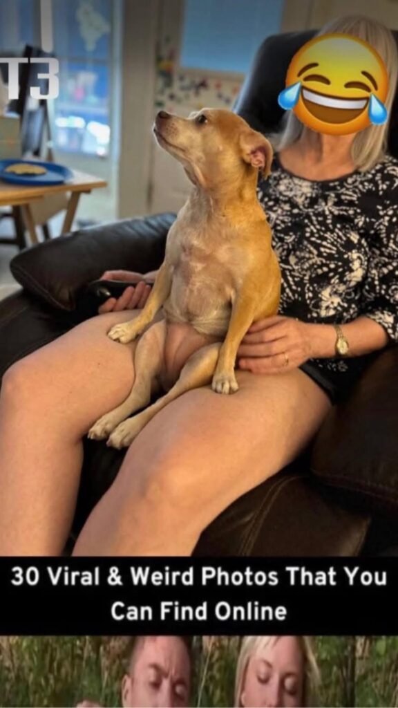 Funny – This Pictures That Need A Second Look